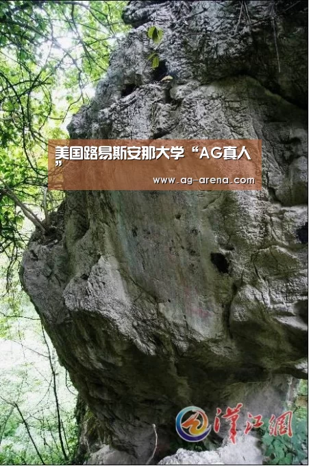 美国路易斯安那大学“AG真人”(图1) AG电竞