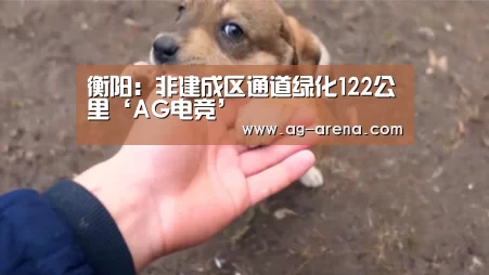 衡阳:非建成区通道绿化122公里‘AG电竞’(图3) AG电竞