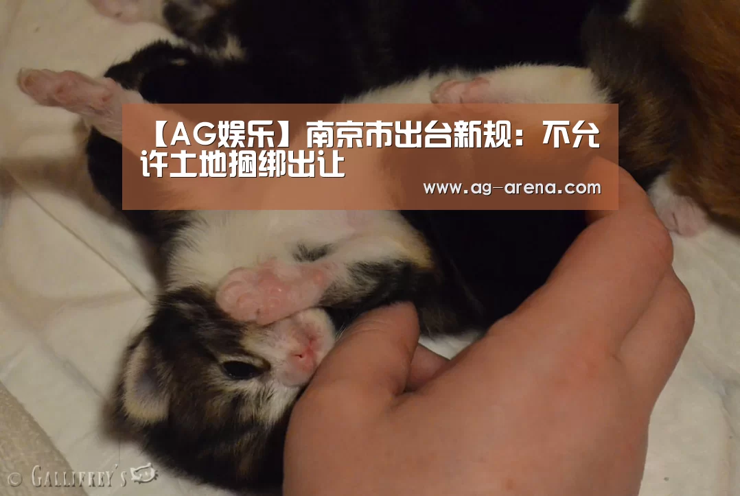 【AG娱乐】南京市出台新规：不允许土地捆绑出让